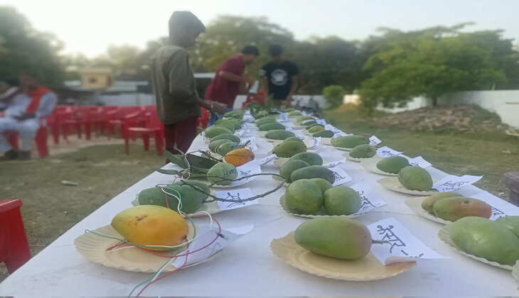 बिहार के मधुबनी में मिथिला मैंगो फेस्टिवल, आम के किस्मों की विस्तृत श्रृंखला