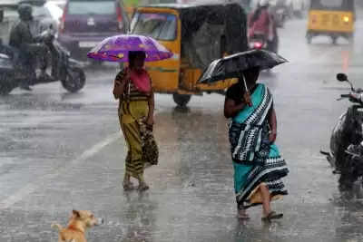 तमिलनाडु में भारी बारिश के कारण 5 जिलों में रेड अलर्ट