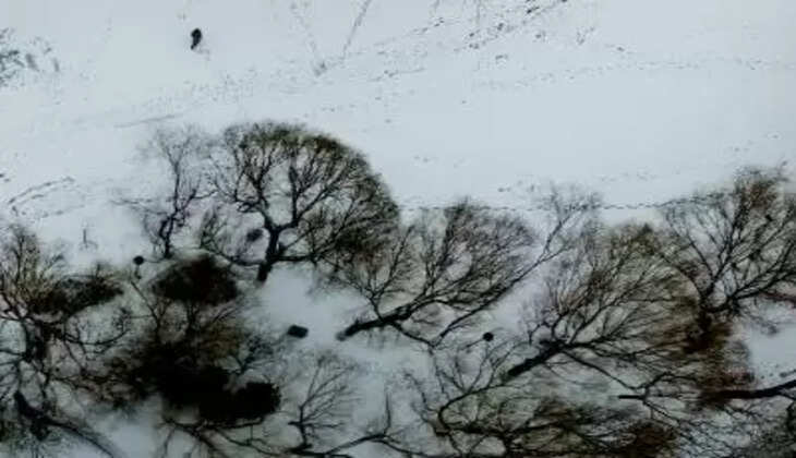 मंगोलिया के कुछ हिस्सों में बर्फ और धूल भरी आंधी