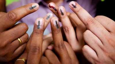 वोट देने का अधिकार संवैधानिक नहीं, बल्कि वैधानिक, सुप्रीम कोर्ट के जज चुनाव आयोग से असहमत