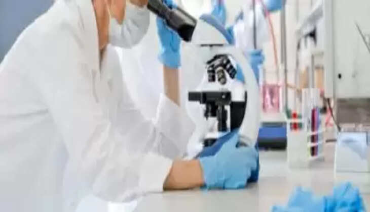 वैज्ञानिकों ने हानिकारक मौखिक जीवाणुओं की खोज की, अन्य बीमारियों का बनते हैं कारण