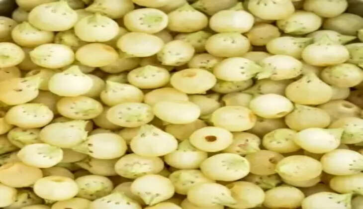 मप्र से 200 टन महुआ लंदन भेजा जाएगा