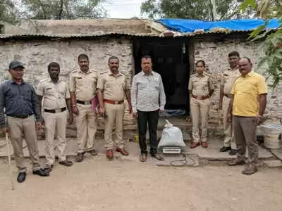 कर्नाटक : आबकारी विभाग की टीम ने गांजे के फार्म पर की छापेमारी, दो गिरफ्तार