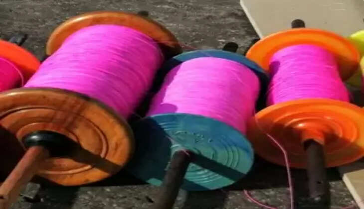 दिल्ली हाईकोर्ट ने पुलिस से पूछा- चीनी मांझा पर प्रतिबंध लगाने वाले एनजीटी के आदेश पर क्या कदम उठाए गए?