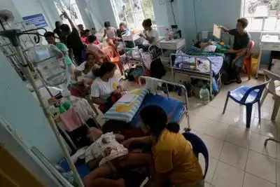 फिलीपींस में इस साल डेंगू से 319 मौतें