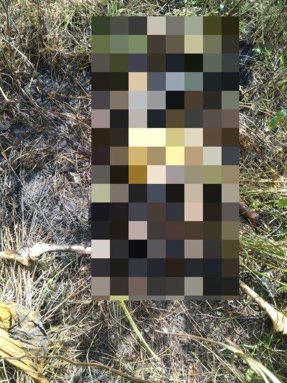 हल्द्वानी में महिला की हत्या कर शव जलाया, इलाके में फैली सनसनी