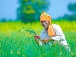 किसानों के लिए बजट 2019 में मोदी सरकार कर सकती है ये बड़ी घोषणा, होंगे ये बड़े बदलाव