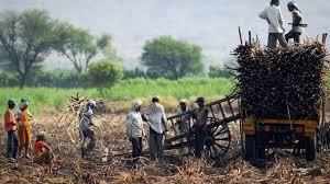 हरिद्वार- गन्ना मिल प्रशासन की मनमानी से छूटे पुलिस के पसीने, किसान ऐसे हो रहे शोषण का शिकार