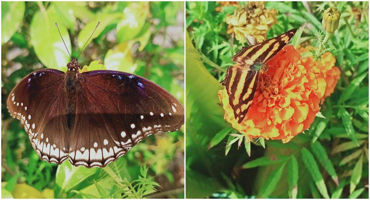 हल्द्वानी-पर्यटन की दृष्टि से नंधौर है खास, विकास में बजट बना बाधक