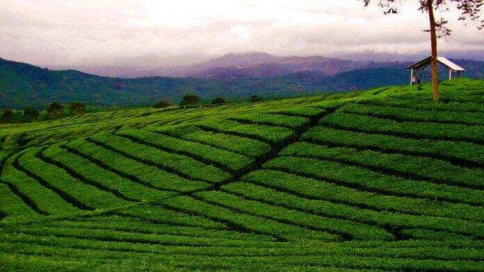 सैलानियों के लिए स्वर्ग से कम नहीं कुल्लू-मनाली, जीवन में जरूर करें एक बार यहां की यात्रा