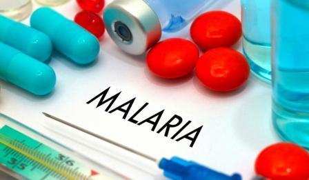 BAREILLY: जिले में मलेरिया स्क्रीनिंग हुईं 90 फीसदी कम, जानें क्या है वजह 