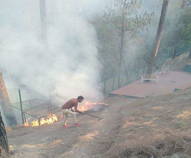 नैनीताल- दावानल की बढ़ती घटनाओं ने उड़ाई वन विभाग की नींद, आग बुझाने पहुंचे रेंजर हुए बेहोश