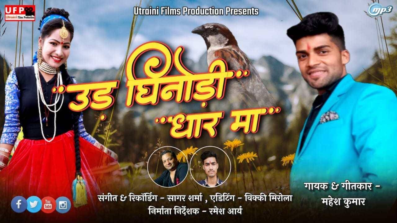 हल्द्वानी-पहाड़ और पक्षी प्रेमियों के लिए आया ये सुंदर गीत, सुनिये लोकगायक महेश कुमार का उड़ घिनौड़ी धार मा