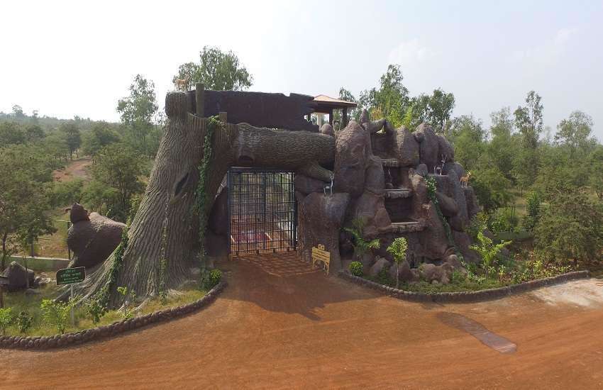 छत्तीसगढ़ -अब नया रायपुर के जंगल सफारी का किराया हुआ आधा, जमकर कीजिए सैर- सपाटा