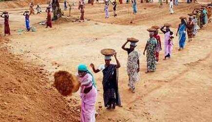 UP : लॉकडाउन में 14.73 लाख श्रमिकों को मनरेगा के तहत मिला रोजगार