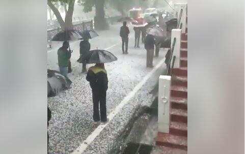 हल्द्वानी-बारिश भी नहीं डिगा पाई शराबियों के कदम, फिर वायरल ये मजेदार तस्वीरें