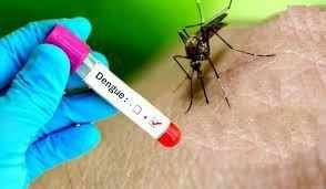 कैसे होता है डेंगू, डेंगू बुखार के लक्षण व बचाव, जानिए डेंगू के बारे में महत्वपूर्ण जानकारी