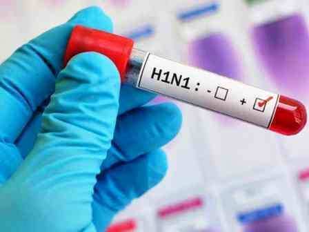 H1N1 Virus:  सुप्रीम कोर्ट में फैल गया वायरस, 6 जजों को एक साथ स्वाइन फ्लू