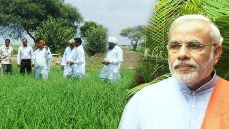 बड़ी खबर : किसानों को बड़ा तोहफा देने जा रही मोदी सरकार, बिना ब्याज कर्ज संग हर महीने खाते में आएंगे इतने रुपए