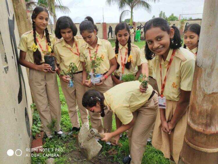 हल्द्वानी-शेमफोर्ड स्कूल ने मनाया हरेला पर्व, शुद्ध वातावरण को किया पौधारोपण