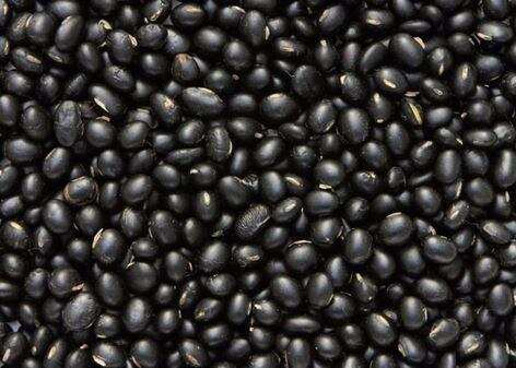 देहरादून- चौलाई, काले भट्ट जैसे उत्पादों को मिलेगा उचित दाम, ऐसे मदद करेगा कृषि उत्पादन विपणन बोर्ड