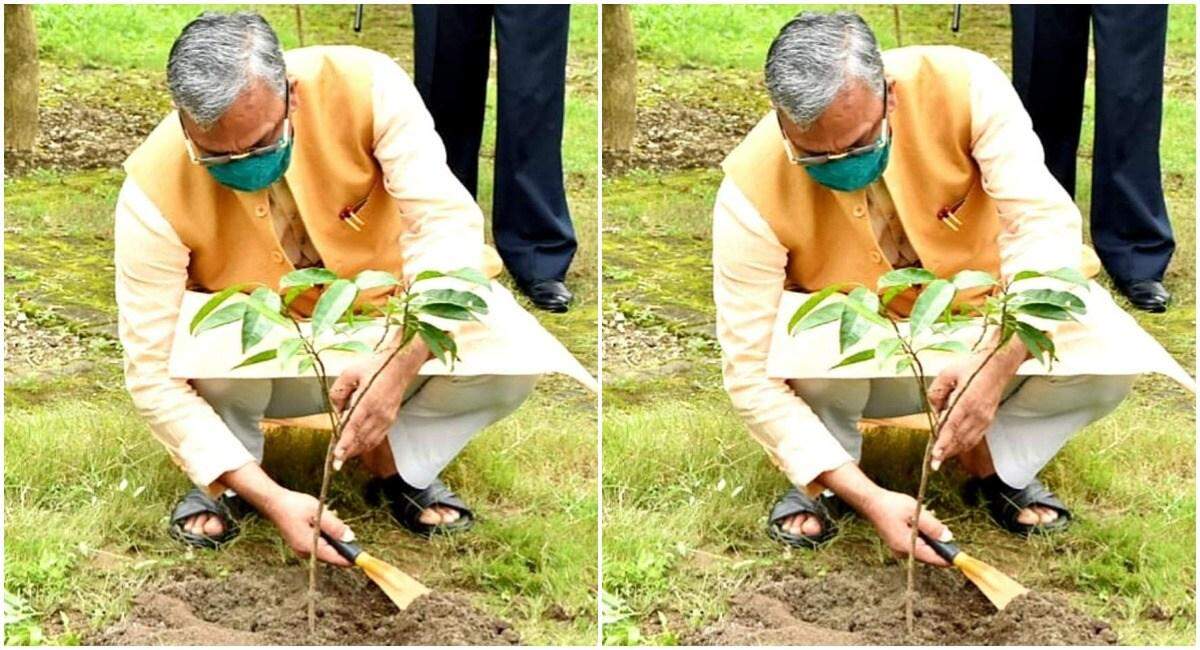 देहरादून-सेवा सप्ताह के तहत सीएम ने किया पौधारोपण, पीएम मोदी को लेकर कही ये बात