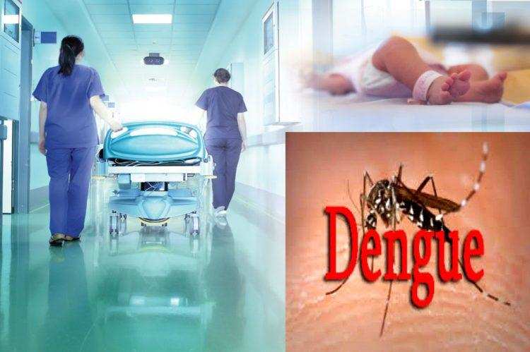 अब प्राइवेट अस्पतालों में डेंगू का इलाज होगा मुफ्त ! करना है आपको ये काम (uttarakhand news)