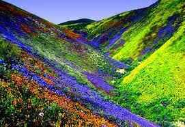 उत्तराखंड- देवभूमि है सबसे बेहतर पर्यटन स्थल, जहां आकर इंसान मिलता है सकून