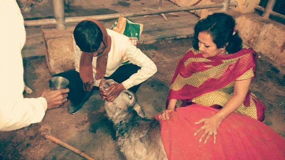 Bareilly-ब्‍यूटी प्रोडक्‍ट से तन व घायल जानवरों का इलाज कर मन सुंदर बना रहीं शालिनी अरोरा