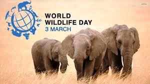WORLD WILDLIFE DAY: आओ सब मिलकर एक बदलाव लाएं, हर एक वन्‍यजीव के प्राण बचायें