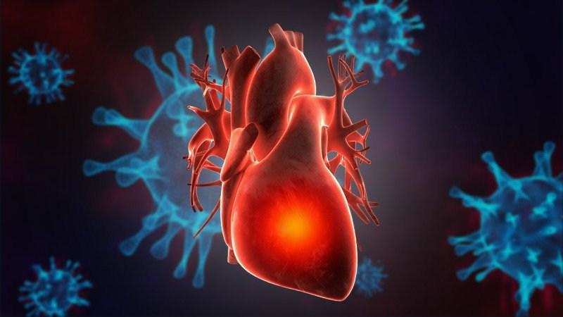 RESEARCH: कोरोना वायरस से बढ़ रही हैं हृदय संबंधी समस्याएं, अमेरिका में हुआ शोध