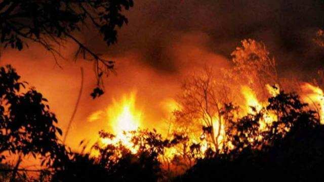 जंगल में लगी आग में फसी विदेशी महिला की ऐसे आई जान में जान, देर रात कर रही थी ये काम