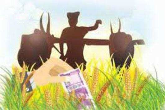 देहरादून- उत्तराखंड में किसानों के लिए काम की खबर, सरकार की इस योजना से हो जाओगे मालामाल