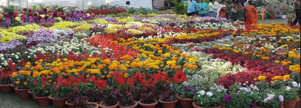 प्रोत्साहन: वाराणसी में 20 व 21 फरवरी को लगेगी फल फूल, सब्जी् प्रदर्शनी, पुरस्कृत होंगे विजयी किसान