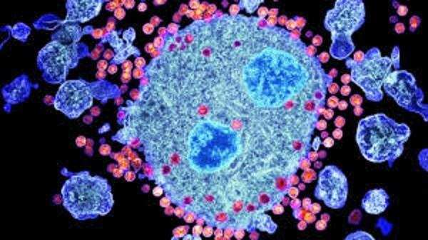 शरीर की रोग प्रतिरोधक क्षमता ने एचआईवी को हराया, दुनिया भर के वैज्ञानिक और डॉक्टर हैरान