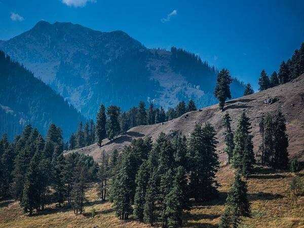 कश्मीर का पवित्र शहर अनंतनाग, जिसे ”धरती का स्वर्ग” नाम से भी जाना जाता है, जानिए यहां के प्रमुख पर्यटन स्थल