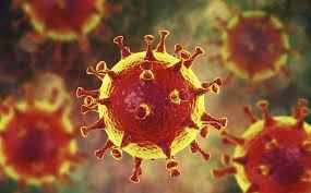 Covid-19: कोरोना वायरस पर वैज्ञानिकों को बड़ी सफलता, अब वैक्सीन बनाना होगा आसान