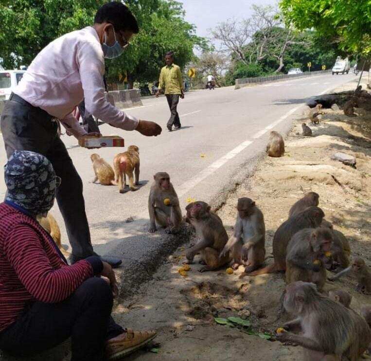 Bareilly: यह संस्था लॉकडाउन में कर रही नेकी का काम, आज जो किया जानकर रह जाएंगे हैरान