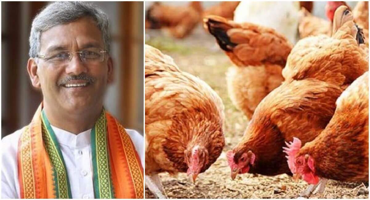 देहरादून-उठाये त्रिवेन्द्र सरकार की मुख्यमंत्री स्वरोजगार योजना का लाभ, ऐसे करें पोल्ट्री फार्म योजना के लिए आवेदन