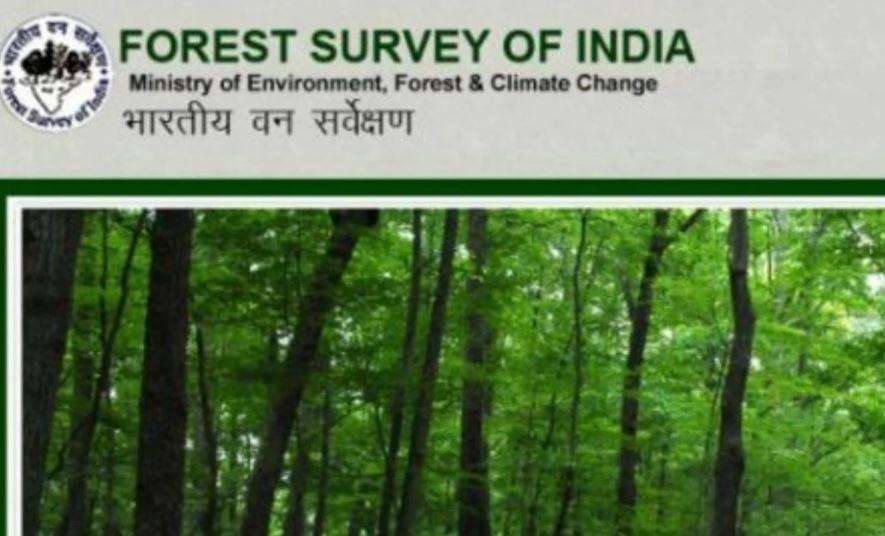 देहरादून- भारतीय वन सर्वेक्षण ने विभिन्न पदों पर निकाली भर्ती, ऐसे करें ऑनलाईन आवेदन