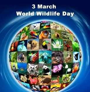 WORLD WILDLIFE DAY: आओ सब मिलकर एक बदलाव लाएं, हर एक वन्‍यजीव के प्राण बचायें