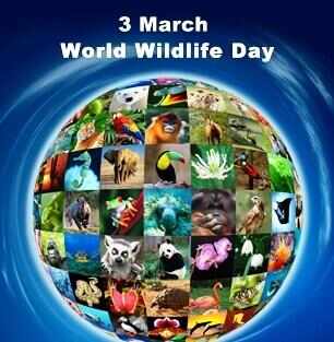 WORLD WILDLIFE DAY: आओ सब मिलकर एक बदलाव लाएं, हर एक वन्यजीव के प्राण बचायें