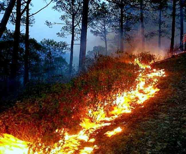 देहरादून-वनमंत्री के गृह क्षेत्र के जंगलों में लगी आग, ऐसे आग बुझाने में जुटा वन विभाग