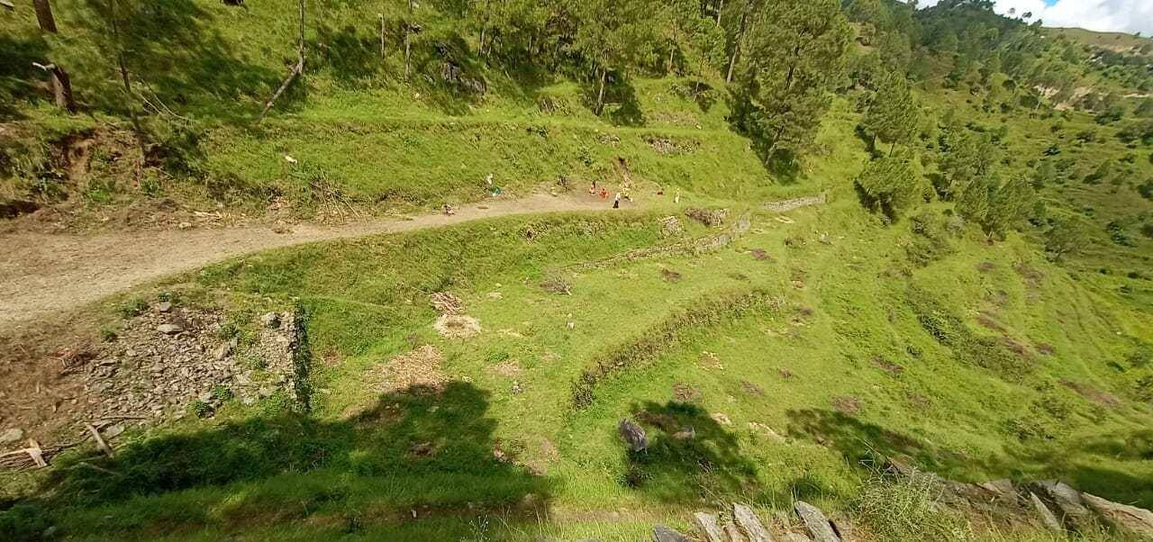 हल्द्वानी-दिल्ली से लौटे नीरज ने बदली गांव की तस्वीर, पहाड़ी खेतों पर महिलायें दौड़ाने लगी ट्रैक्टर