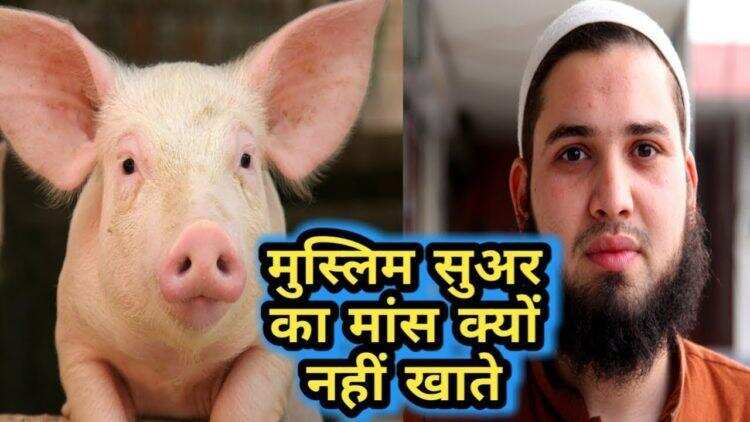 तो इसलिए मुस्लिम सुअर का मांस नहीं है खाते, वजह जानकर खा जाओगे चक्कर.
