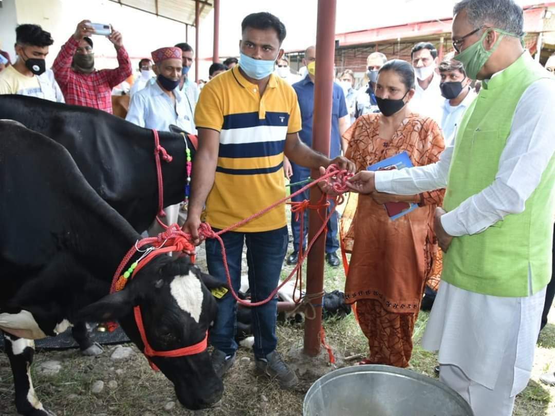 देहरादून- गंगा गाय महिला डेरी योजना में पशु क्रय की शुरूआत, 5400 लोगों को ऐसे मिलेगा योजना का लाभ