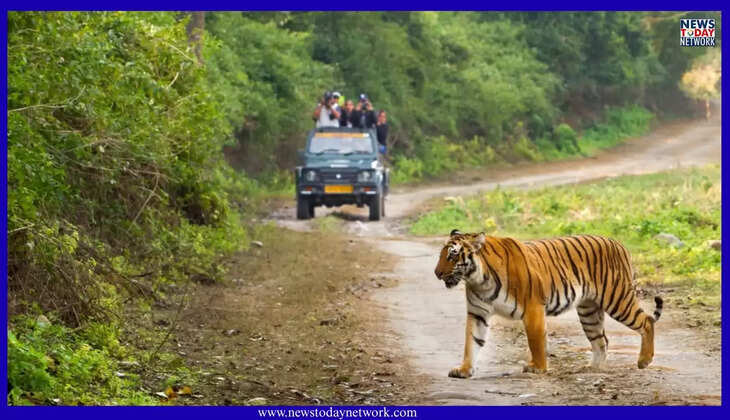 रामनगर - Corbett Park में विदेशी पर्यटकों के लिए बुकिंग शुरू, भारतीयों को करना होगा इस दिन तक का इंतजार