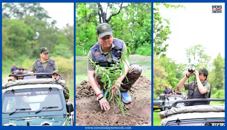 रामनगर - कार्बेट नेशनल पार्क में सीएम धामी ने की जंगल सफारी, एक पेड़ माँ के नाम अभियान में हुआ 1000 पौधों का रोपण