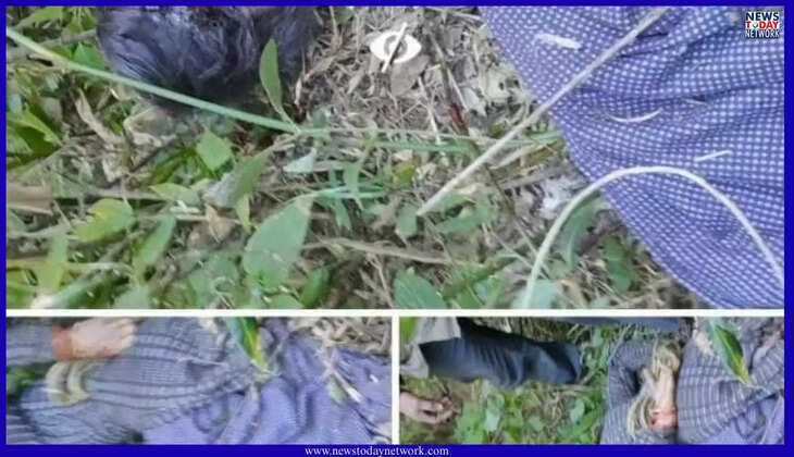 भीमताल &ndash; ओखलकांडा में गुलदार का आतंक दिनदहाड़े महिला को बनाया निवाला, इलाके में दहशत का माहौल&nbsp;