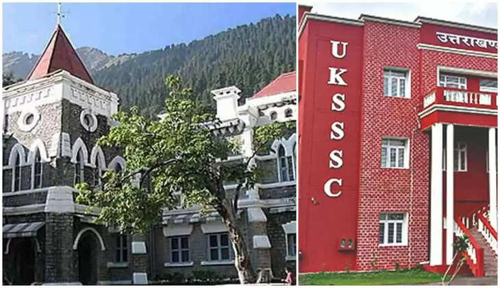 UKSSSC Scam - यूकेएसएसएससी भर्ती परीक्षा की सुनवाई हुई पूरी, &nbsp;नैनीताल हाईकोर्ट ने सुरक्षित रखा फैसला&nbsp;nainital highcourt, uksssc bharti scam 